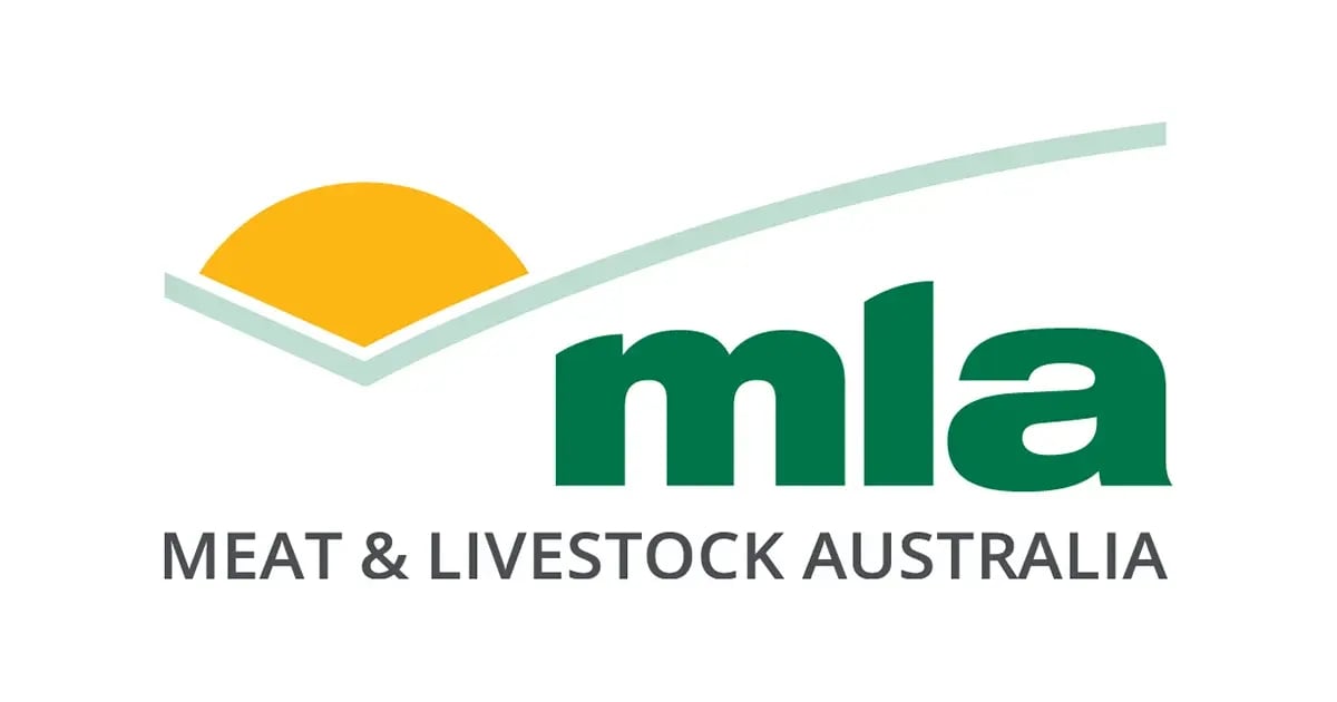 MLA